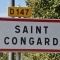 Photo Saint-Congard - Saint Congard (56140)