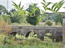 Photo paysage et monuments, Saint-Guyomard - le pont