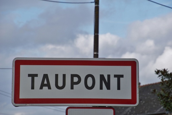 Photo Taupont - taupon (5680)