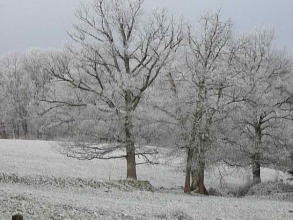 Photo La Fermeté - les trois amis