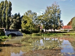 Photo paysage et monuments, Garchy - L'Asvins