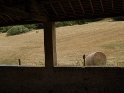 sur le chemin de belles découvertes!