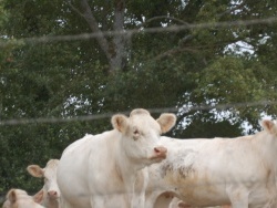sur le sentier des slendeurs!