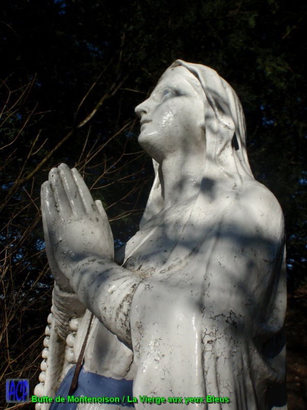 Photo Montenoison - Butte de Montenoison / La Vierge aux yeux bleus