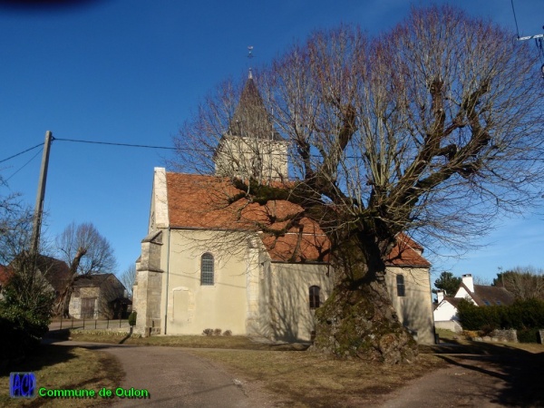 Photo Oulon - Oulon / l'église et son Tilleul