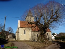 Photo paysage et monuments, Oulon - Oulon / l'église et son Tilleul