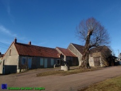Photo paysage et monuments, Oulon - Oulon : Longère près de l'église et son Tilleul