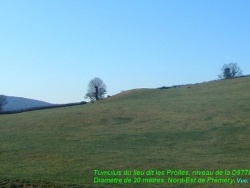 Photo paysage et monuments, Prémery - Tumulus du lieu dit les Prolles Nord