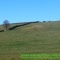 Tumulus du lieu dit les Prolles Nord