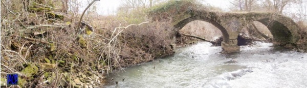 Photo Prémery - Ruine d'un vieux pont