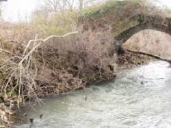 Photo paysage et monuments, Prémery - Ruine d'un vieux pont