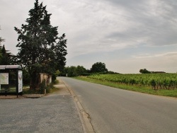 Photo paysage et monuments, Sainte-Colombe-des-Bois - La Commune