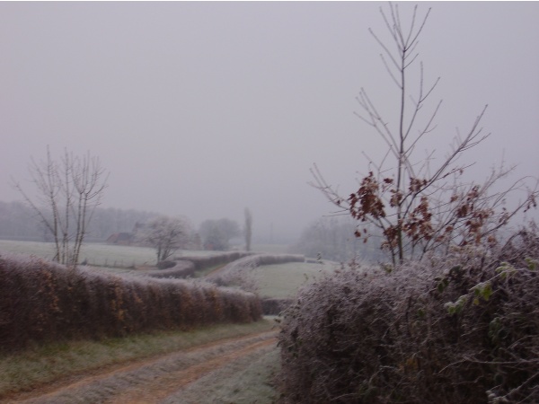 Beauté, calme et sérénité de la campagne hivernale à Vandenesse