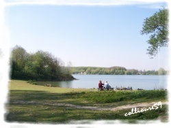 Photo paysage et monuments, Villeneuve-d'Ascq - Villeneuve-D'Ascq