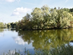 Photo paysage et monuments, Villeneuve-d'Ascq - la Rivière