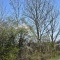 la nature