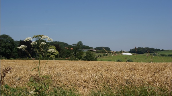 Photo Berthen - la commune