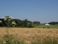 Photo paysage et monuments, Berthen - la commune