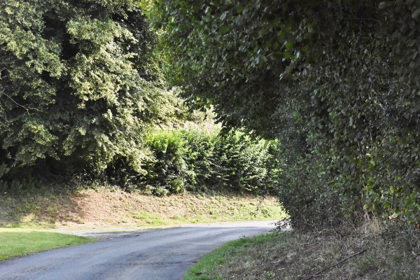 Photo Bettrechies - le village