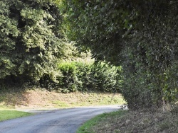 Photo paysage et monuments, Bettrechies - le village