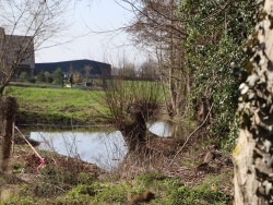 Photo paysage et monuments, Bousignies - nature