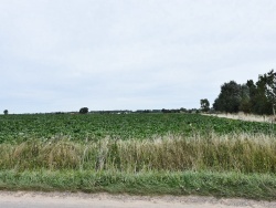 Photo paysage et monuments, Crochte - La Campagne