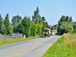 Photo paysage et monuments, Godewaersvelde - La Commune