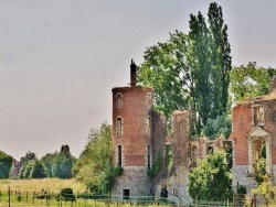 Photo paysage et monuments, Goeulzin - Ruines du Château