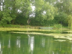 Photo paysage et monuments, Lécluse - marais de Lecluse