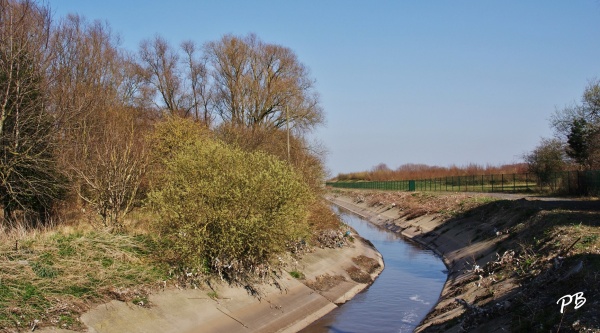 Photo Leers - Campagne de Leers