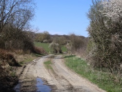 Photo paysage et monuments, Moustier-en-Fagne - nature