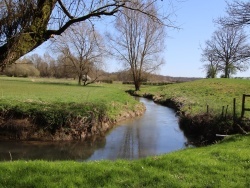 Photo paysage et monuments, Moustier-en-Fagne - la nature