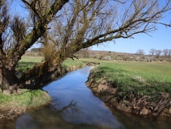 Photo paysage et monuments, Moustier-en-Fagne - rivière