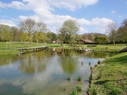 Photo paysage et monuments, Mouvaux - le parc