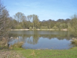 Photo paysage et monuments, Phalempin - la commune