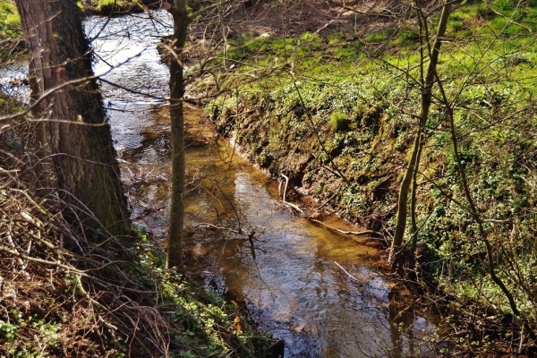 Photo Preux-au-Sart - Ruisseau du Bois St Pierre