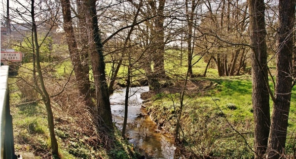 Photo Preux-au-Sart - Ruisseau du Bois St Pierre