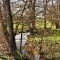 Photo Preux-au-Sart - Ruisseau du Bois St Pierre