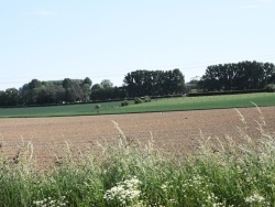 Photo paysage et monuments, Ruesnes - la nature