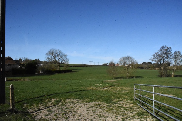 Photo Sains-du-Nord - nature