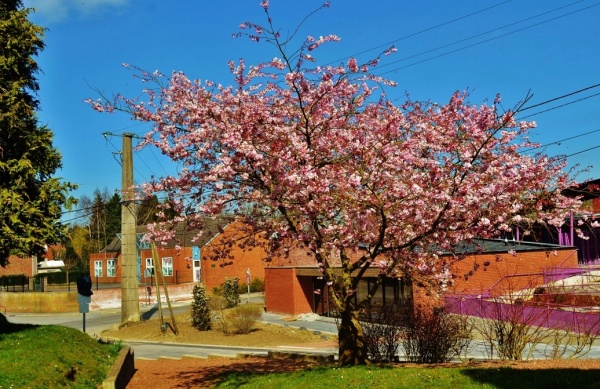 Photo Wargnies-le-Grand - La Commune