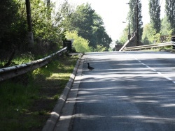 Photo paysage et monuments, Wasnes-au-Bac - la nature