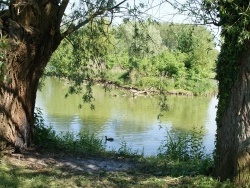 Photo paysage et monuments, Willems - Base de Loisirs les 6 Bonniers