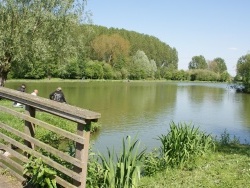 Photo paysage et monuments, Willems - Base de Loisirs les 6 Bonniers