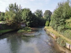 Photo faune et flore, Auchy-lès-Hesdin - la rivière