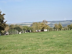 Photo paysage et monuments, Avroult - campagne