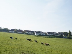 Photo paysage et monuments, Beaumerie-Saint-Martin - le Village