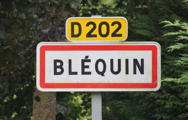 Photo Bléquin - blequin (62380)