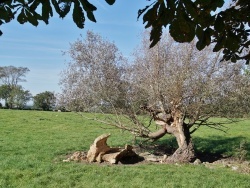 Photo paysage et monuments, Boursin - la Campagne