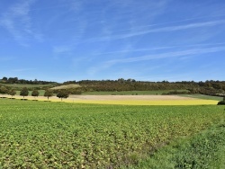 Photo paysage et monuments, Boursin - la Campagne